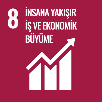 İnsana Yakışır İş ve Ekonomik Büyüme